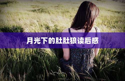 月光下的肚肚狼读后感