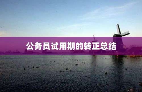 公务员试用期的转正总结