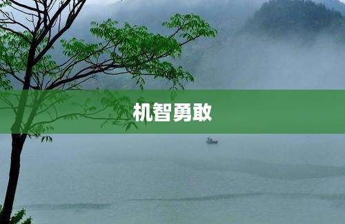 机智勇敢