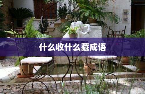 什么收什么藏成语