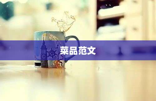 菜品范文