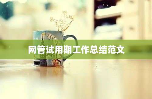 网管试用期工作总结范文