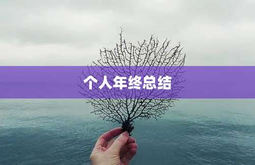 个人年终总结