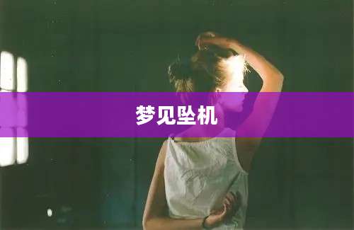 梦见坠机