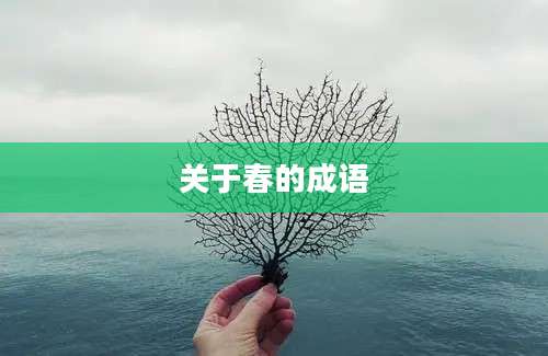 关于春的成语
