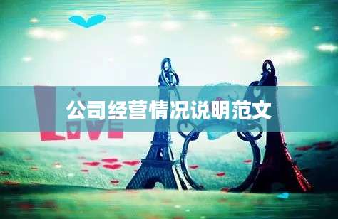 公司经营情况说明范文