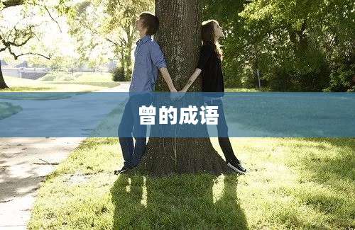 曾的成语