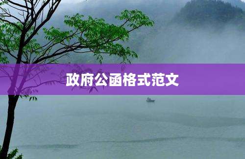 政府公函格式范文