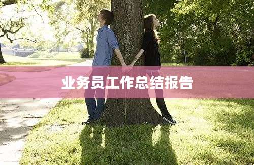 业务员工作总结报告