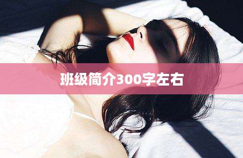 班级简介300字左右