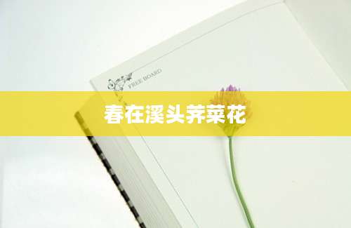 春在溪头荠菜花