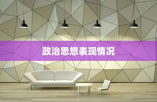 政治思想表现情况