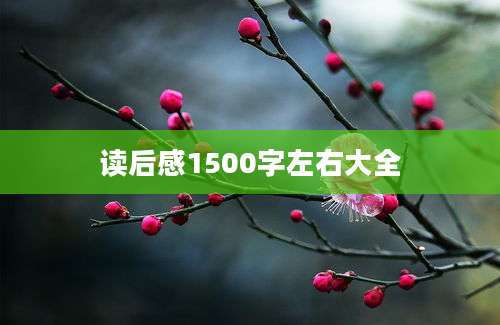 读后感1500字左右大全