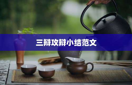 三辩攻辩小结范文