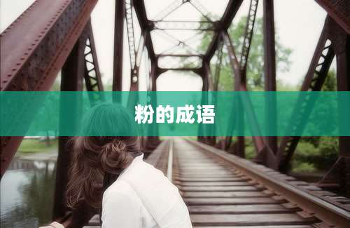 粉的成语