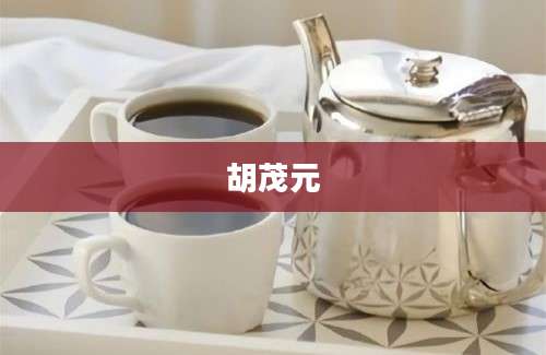 胡茂元