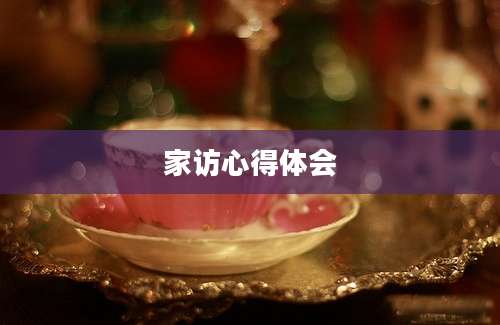 家访心得体会
