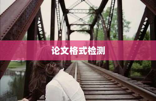 论文格式检测