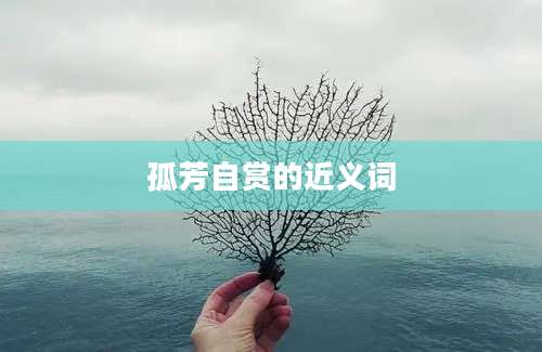 孤芳自赏的近义词