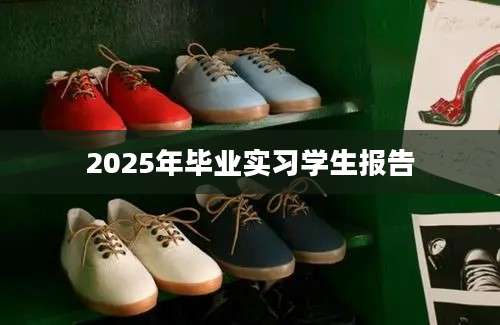 2025年毕业实习学生报告