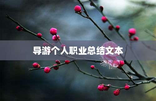 导游个人职业总结文本