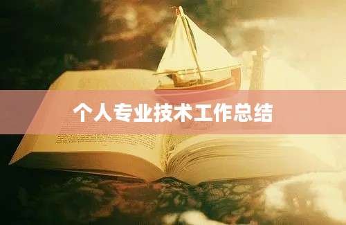 个人专业技术工作总结