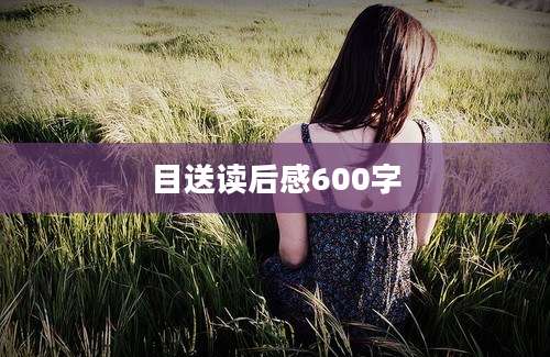 目送读后感600字