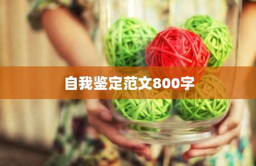自我鉴定范文800字