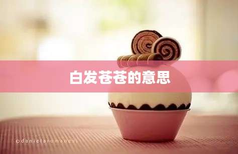 白发苍苍的意思