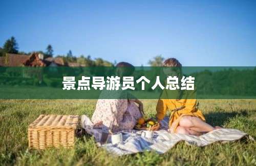 景点导游员个人总结