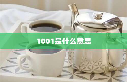 1001是什么意思