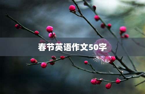 春节英语作文50字
