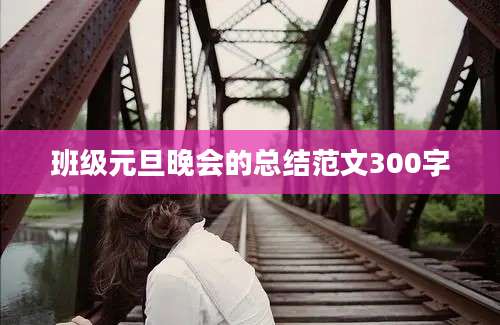 班级元旦晚会的总结范文300字