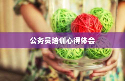 公务员培训心得体会