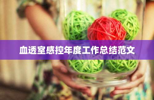 血透室感控年度工作总结范文