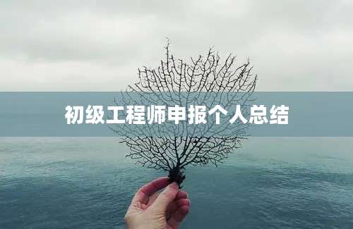 初级工程师申报个人总结