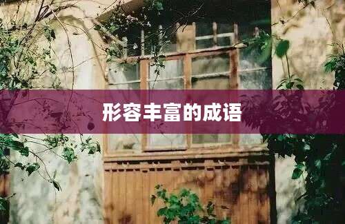 形容丰富的成语