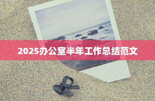 2025办公室半年工作总结范文