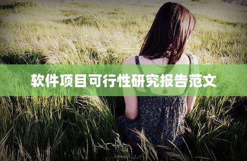 软件项目可行性研究报告范文