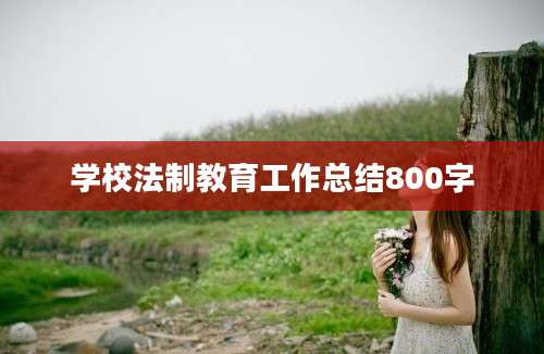 学校法制教育工作总结800字