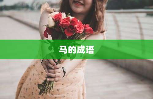 马的成语