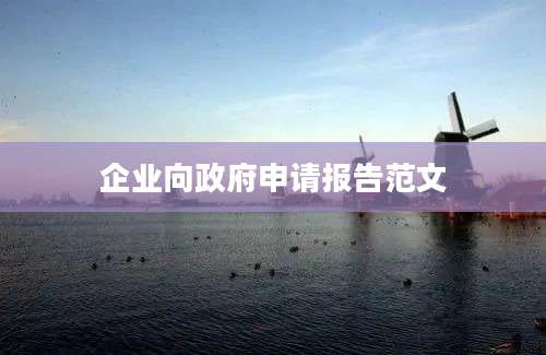 企业向政府申请报告范文