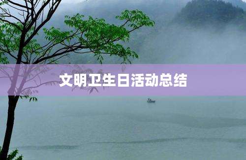 文明卫生日活动总结