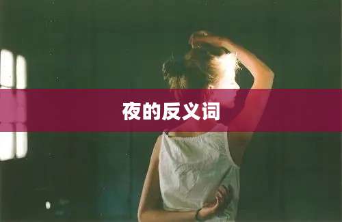夜的反义词