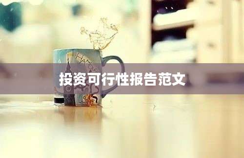 投资可行性报告范文