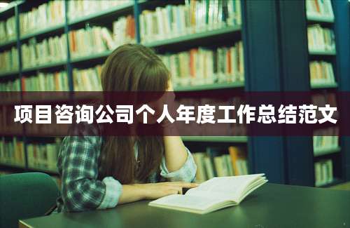 项目咨询公司个人年度工作总结范文
