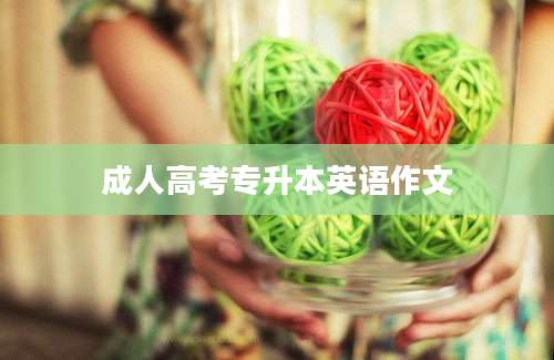 成人高考专升本英语作文