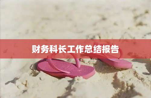 财务科长工作总结报告