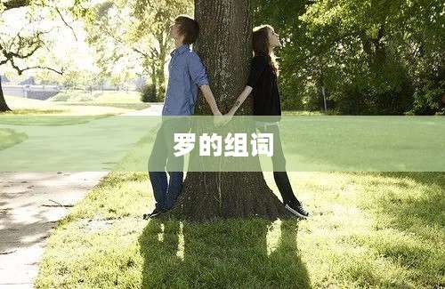 罗的组词