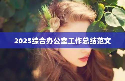 2025综合办公室工作总结范文